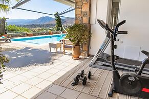 Villa Friends With Private Pool