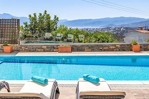 Villa Friends With Private Pool