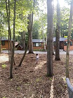 Haliburton Post House