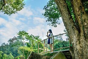 Changtai Fruit Hostel