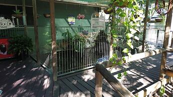 Big 4 Aussie Outback Oasis