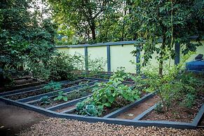 Hibiscus Earth - CGH Earth