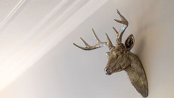 The Copper Loft Apartment Keith