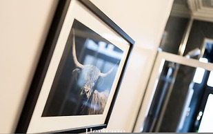 The Copper Loft Apartment Keith