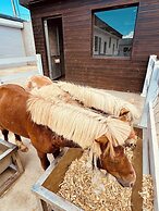 QING Luxury Campground Hotel