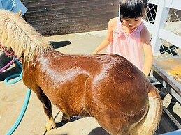 QING Luxury Campground Hotel