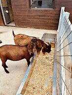 QING Luxury Campground Hotel