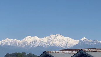 Bon The Rink Heritage