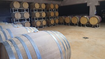 VR Orizzonti