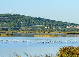 Seaside Serenity Comfort, Agde