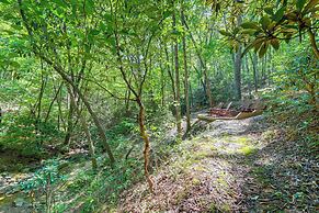 Hot Tub, Decks & Creek Access: Mccaysville Cabin!