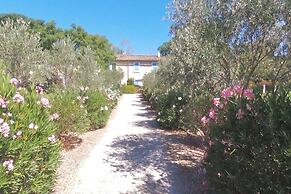 Chambres d'Hôtes au Mas de Cadoule