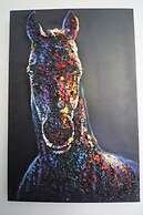 Chambres d'Hôtes au Mas de Cadoule