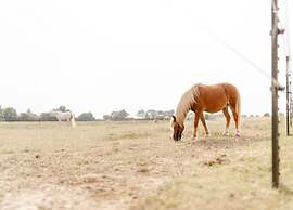 Coastal Apartment With Balcony