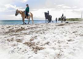 Coastal Apartment With Balcony
