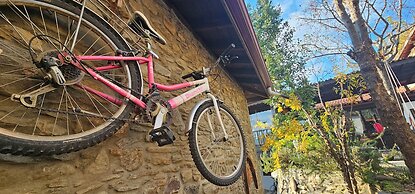 Birgi Mai Siyah Konak