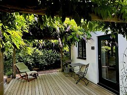 Wisteria Österlen