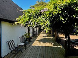 Wisteria Österlen