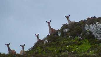 Chesthill House & Estate