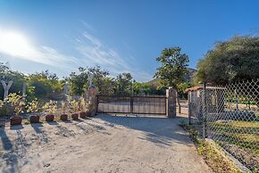 Tree of Life Amara Resorts & Spa Udaipur