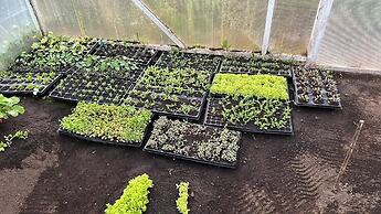 Hotel Patagonia House