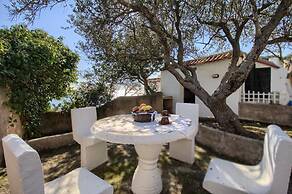 Scogliera del Gabbiano