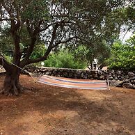 Scogliera del Gabbiano