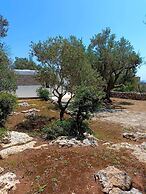 Scogliera del Gabbiano