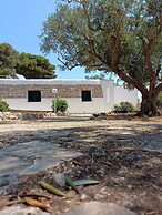 Scogliera del Gabbiano