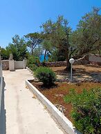 Scogliera del Gabbiano