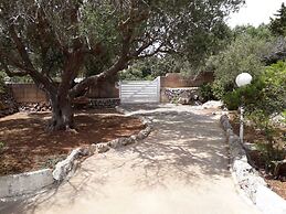 Scogliera del Gabbiano