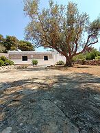 Scogliera del Gabbiano