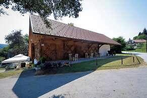 Luxury Chalet Martin