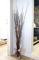 Vostalo apartments by Kassiopi's Sea