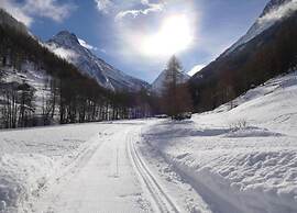 Alpi Retreat by Saas Grund