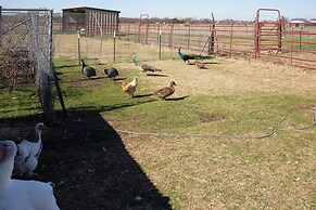 Farmhouse w/ RV Parking: Close to Lake Ray Roberts
