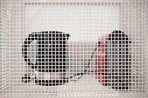 Alameda Terrace by Homing