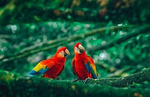 Barra Bonita Pousada