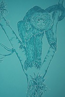 Hotel con Corazón Monteverde