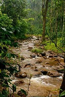 Nature Nirvana Chikmagalur Farmhouse