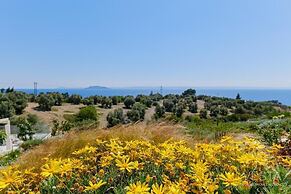 Olive Grove Villas with Private Pools