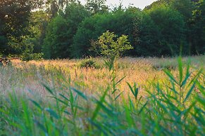 Heart of Nature
