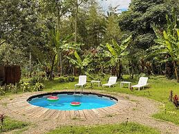 El Nido Andino