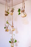 Pingtan Travel Notes Cat Head