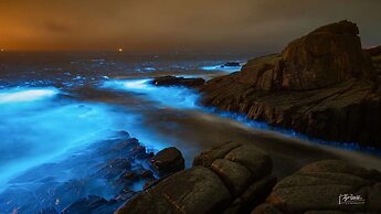 Pingtan Travel Notes Cat Head