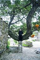 Pingtan Travel Notes Cat Head