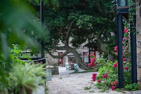 Pingtan Travel Notes Cat Head