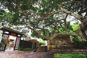 Pingtan Travel Notes Cat Head