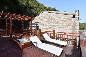 Pingtan Travel Notes Cat Head