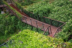 Pingtan Travel Notes Cat Head